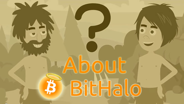 about-bithalo-3